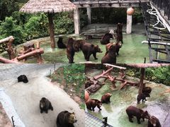 -深圳野生动物园