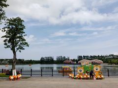 -上海长兴岛郊野公园