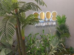 点击看大图 -八佰伴8008星级形象店