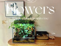 -彝席之地四合院·山珍私宴·婚宴