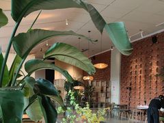 -源本清茶(顺城购物中心店)