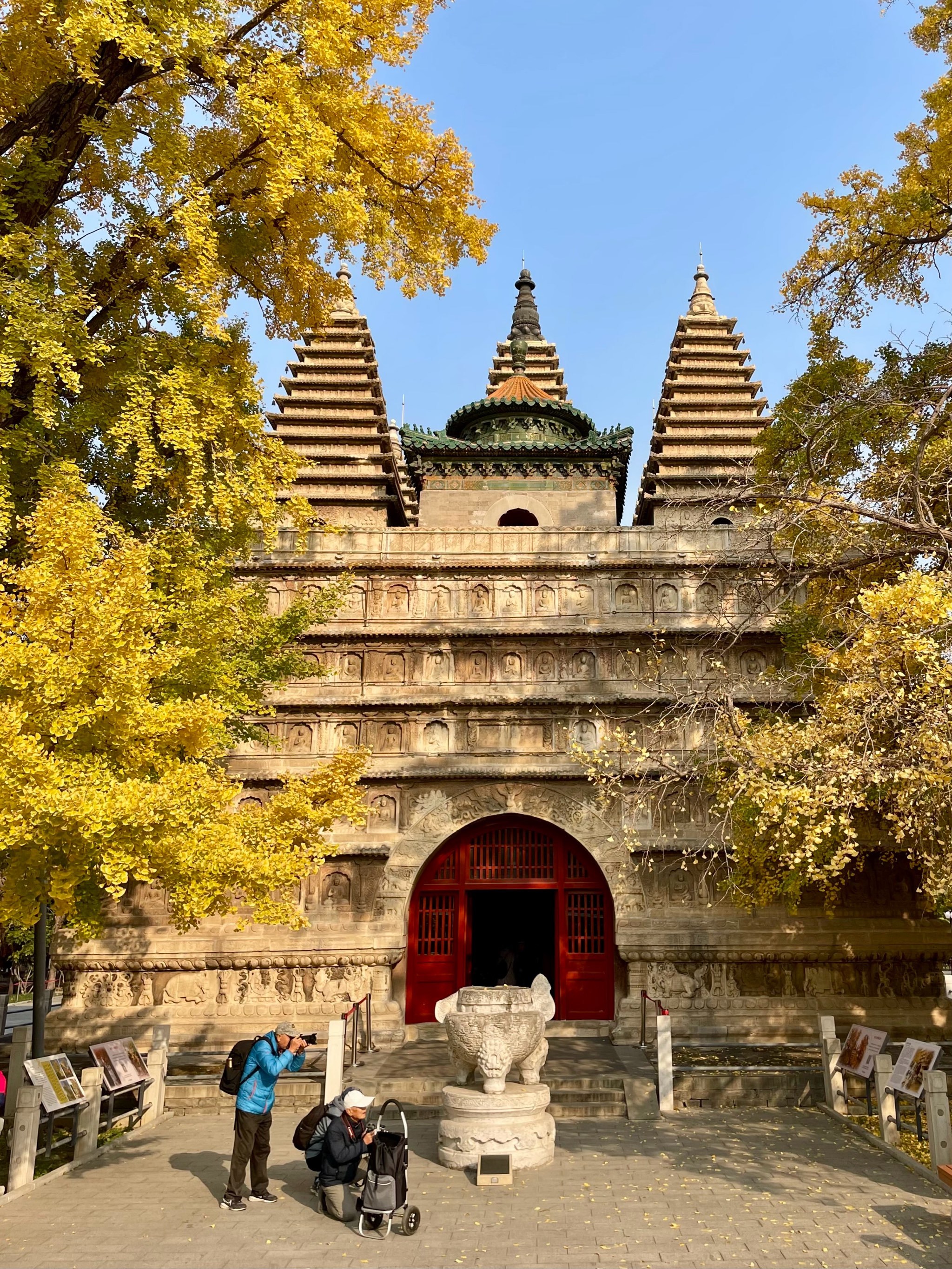 7实拍|五塔寺迎来一年中最美时刻