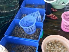 -海上驿站渔家菜馆