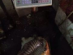 iphone_upload_pic-绢姐海鲜大排档