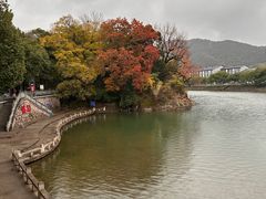 -溪口-滕头旅游景区