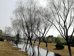 -杭州师范大学食堂