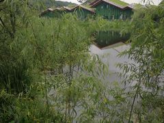 -西湖风景区-江洋畈生态公园