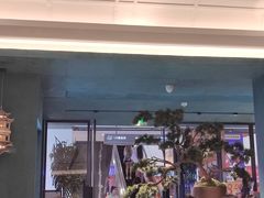 -金春禧(世茂国际广场店)