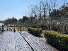 -广富林郊野公园
