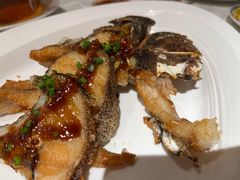 -南海渔村(珠江新城店)