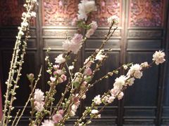 -恬阿姨庭院餐厅·生日宴