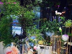-木棉花开(中心城店)