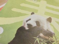 -眉州东坡(亚运村店)