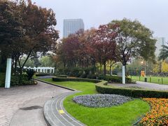 -新虹桥中心花园