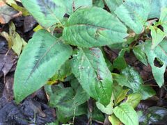 -水孩子国际儿童游泳早教中心(吾悦旗舰中心)