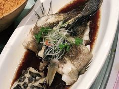 -丰收日(五角场店)