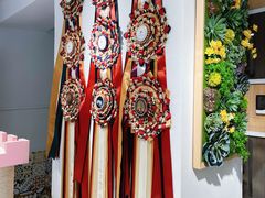 -青奢宠物·青奢猫舍