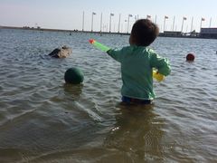 -碧海金沙