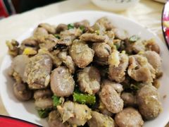 -东吴霸王兔(松青路店)