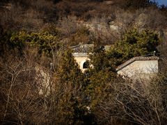 -白水寺森林公园