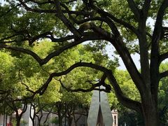 -苏州大学(天赐庄校区)
