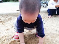 -宝安西湾红树林湿地公园