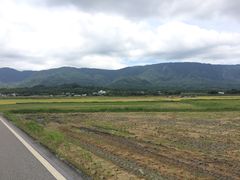 -海底捞火锅(高科广场店)