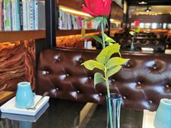 -三强鸽子(中原路店)