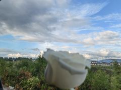 -大理洱海