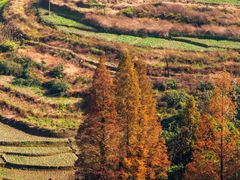 -山王坪喀斯特国家生态公园