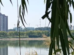 -象湖生态湿地公园