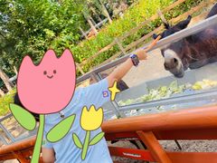 -北京野生动物园