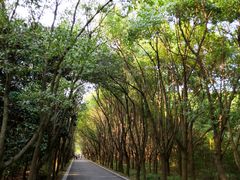 -同里国家湿地公园