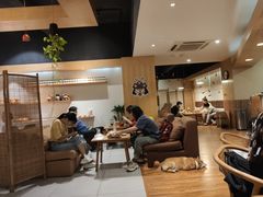 -柴务处·柴犬主题狗咖