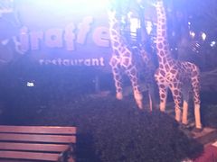 -清迈夜间动物园