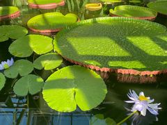 -国家植物园南园