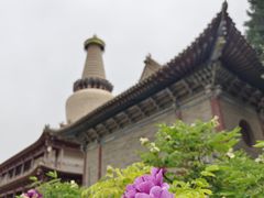 -张掖大佛寺景区