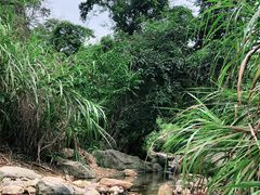 -梧桐山风景名胜区