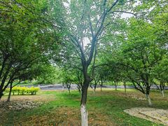 -成都中医药大学(温江校区)