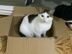 -深圳野生动物园