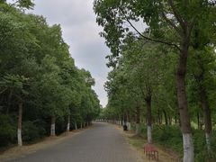 -上海海湾国家森林公园