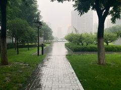 -木塔寺遗址生态公园