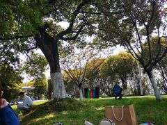 -艾溪湖湿地公园