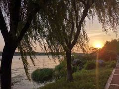 -太阳岛度假酒店