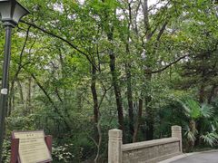 -灵谷景区