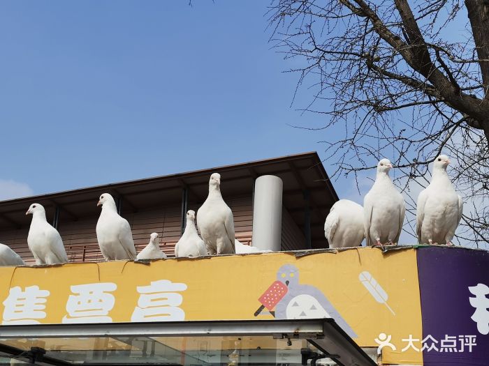 成都华侨城欢乐里图片