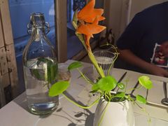 -春树下·树屋花房西餐厅(罍街AS1980店)