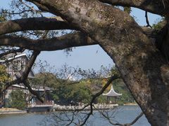 -江心屿景区