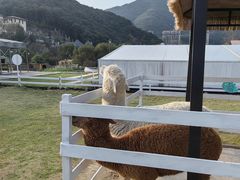 -宁波九龙湖开元度假村