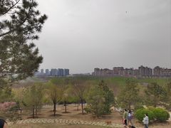 -马家湾湿地公园